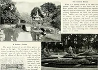 Picture 17 of 249 from Henderson's picturesque gardens and ornamental gardening illustrated (1908), leaf 20