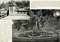 Picture 21 of 249 from Henderson's picturesque gardens and ornamental gardening illustrated (1908), leaf 23