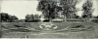 Picture 22 of 249 from Henderson's picturesque gardens and ornamental gardening illustrated (1908), leaf 24