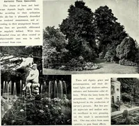 Picture 26 of 249 from Henderson's picturesque gardens and ornamental gardening illustrated (1908), leaf 26