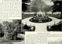 Picture 30 of 249 from Henderson's picturesque gardens and ornamental gardening illustrated (1908), leaf 29