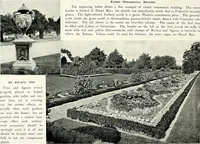 Picture 38 of 249 from Henderson's picturesque gardens and ornamental gardening illustrated (1908), leaf 34