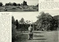 Picture 44 of 249 from Henderson's picturesque gardens and ornamental gardening illustrated (1908), leaf 39