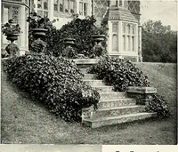 An illustration from Henderson's picturesque gardens and ornamental gardening illustrated (1908)