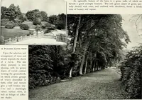 Picture 50 of 249 from Henderson's picturesque gardens and ornamental gardening illustrated (1908), leaf 43
