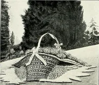 Picture 51 of 249 from Henderson's picturesque gardens and ornamental gardening illustrated (1908), leaf 44