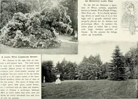 Picture 59 of 249 from Henderson's picturesque gardens and ornamental gardening illustrated (1908), leaf 49
