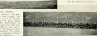 Picture 68 of 249 from Henderson's picturesque gardens and ornamental gardening illustrated (1908), leaf 54