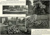 Picture 73 of 249 from Henderson's picturesque gardens and ornamental gardening illustrated (1908), leaf 56