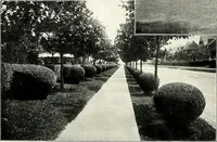 An illustration from Henderson's picturesque gardens and ornamental gardening illustrated (1908)