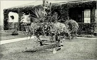 Picture 76 of 249 from Henderson's picturesque gardens and ornamental gardening illustrated (1908), leaf 58