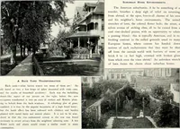 Picture 78 of 249 from Henderson's picturesque gardens and ornamental gardening illustrated (1908), leaf 59