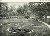 Picture 80 of 249 from Henderson's picturesque gardens and ornamental gardening illustrated (1908), leaf 61