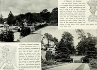 Picture 95 of 249 from Henderson's picturesque gardens and ornamental gardening illustrated (1908), leaf 70