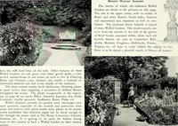 Picture 97 of 249 from Henderson's picturesque gardens and ornamental gardening illustrated (1908), leaf 72