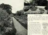 Picture 98 of 249 from Henderson's picturesque gardens and ornamental gardening illustrated (1908), leaf 73