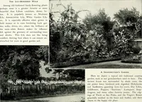 Picture 100 of 249 from Henderson's picturesque gardens and ornamental gardening illustrated (1908), leaf 74