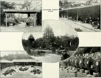Picture 102 of 249 from Henderson's picturesque gardens and ornamental gardening illustrated (1908), leaf 76