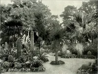 Picture 104 of 249 from Henderson's picturesque gardens and ornamental gardening illustrated (1908), leaf 78