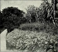 An illustration from Henderson's picturesque gardens and ornamental gardening illustrated (1908)