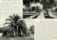 Picture 113 of 249 from Henderson's picturesque gardens and ornamental gardening illustrated (1908), leaf 84