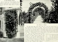 Picture 118 of 249 from Henderson's picturesque gardens and ornamental gardening illustrated (1908), leaf 88