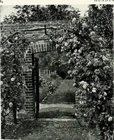 An illustration from Henderson's picturesque gardens and ornamental gardening illustrated (1908)