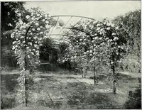 An illustration from Henderson's picturesque gardens and ornamental gardening illustrated (1908)