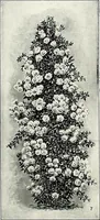 An illustration from Henderson's picturesque gardens and ornamental gardening illustrated (1908)