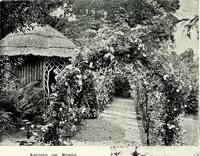 Picture 129 of 249 from Henderson's picturesque gardens and ornamental gardening illustrated (1908), leaf 94