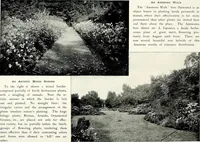 Picture 133 of 249 from Henderson's picturesque gardens and ornamental gardening illustrated (1908), leaf 97