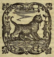 Picture 2 of 7 from Henrici Glareani Heluetii poetae laureati de geographia liber unus (1549), leaf 11
