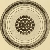 An illustration from Henry and Hora's modern electricity; a practical working encyclopedia (1915)