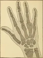 An illustration from Henry and Hora's modern electricity; a practical working encyclopedia (1915)