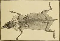 An illustration from Henry and Hora's modern electricity; a practical working encyclopedia (1915)