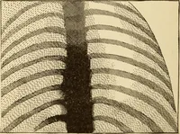 An illustration from Henry and Hora's modern electricity; a practical working encyclopedia (1915)