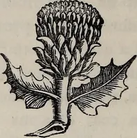 An illustration from The Herald and genealogist (1865)