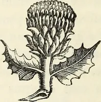 An illustration from The Herald and genealogist (1865)