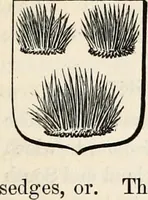 Picture 51 of 89 from The Herald and genealogist (1862), leaf 355