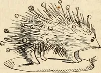 An illustration from The Herald and genealogist (1862)