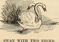 An illustration from The Herald and genealogist (1862)