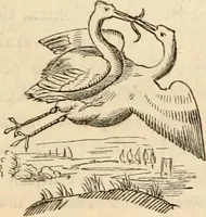 An illustration from The Herald and genealogist (1862)
