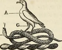 An illustration from The Herald and genealogist (1870)