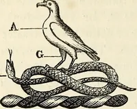 Picture 40 of 80 from The Herald and genealogist (1870), leaf 288
