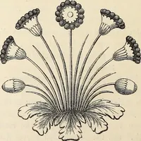 An illustration from The Herald and genealogist (1873)