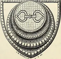 Picture 26 of 48 from The Herald and genealogist (1873), leaf 362