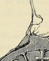An illustration from The Herald and genealogist (1874)