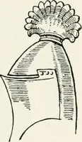 Picture 68 of 159 from Heraldry as art : an account of its development and practice, chiefly in England (1907), leaf 145