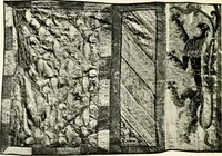 An illustration from Heraldry as art : an account of its development and practice, chiefly in England (1907)