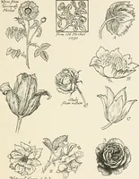 An illustration from Heraldry and floral forms as used in decoration; (1922)